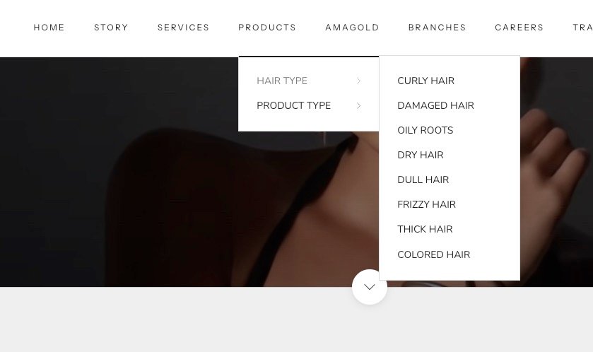 The main navigation menu with product categories.